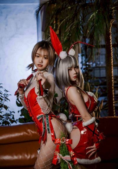 导盲犬小q