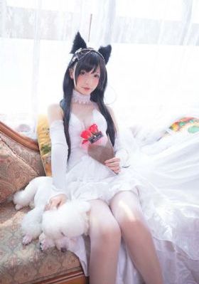 四虎影音